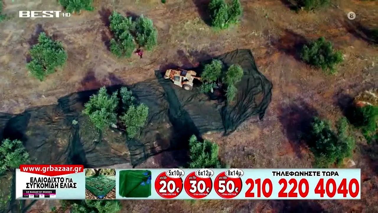 Best TV in diretta