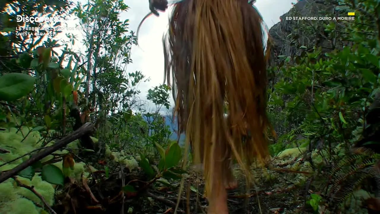 Discovery Channel en direct