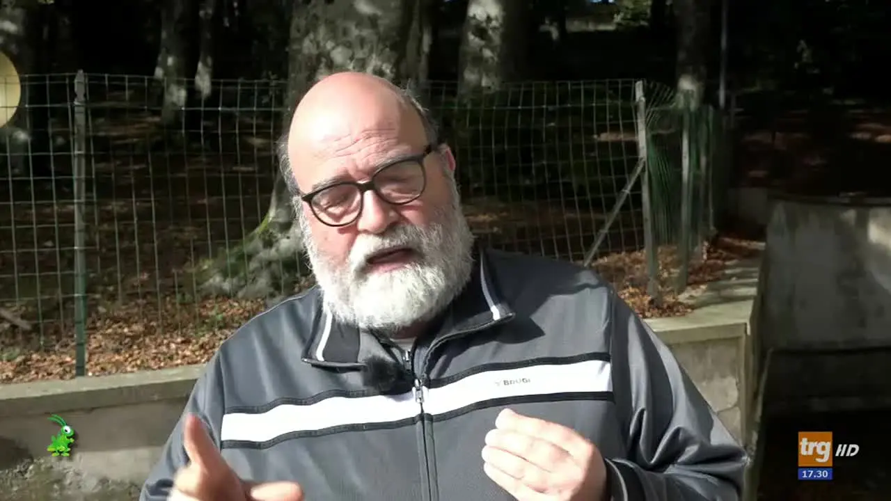TRG Media en direct