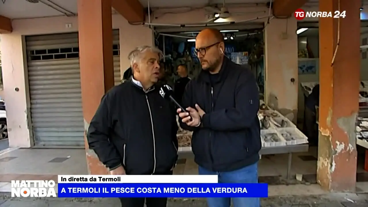 TG Norba 24 live