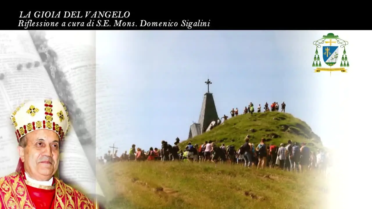 Teleleonessa in diretta