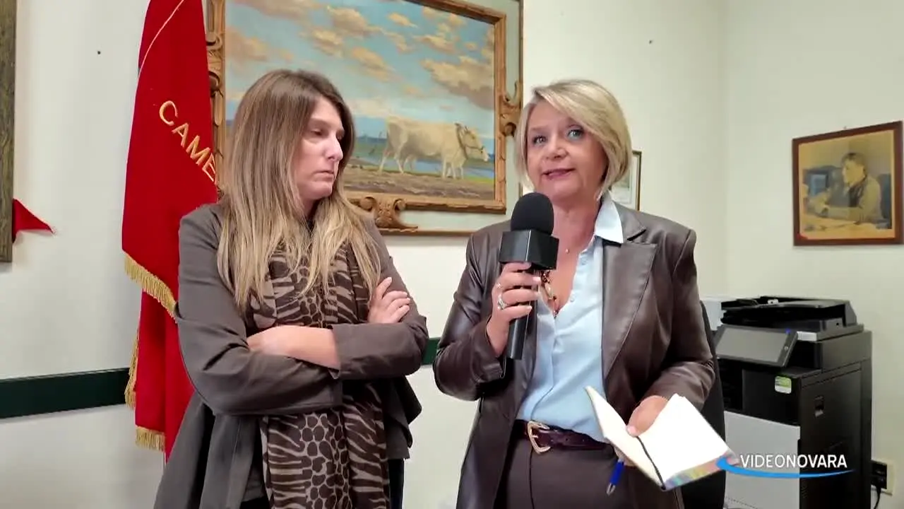 Videonovara live