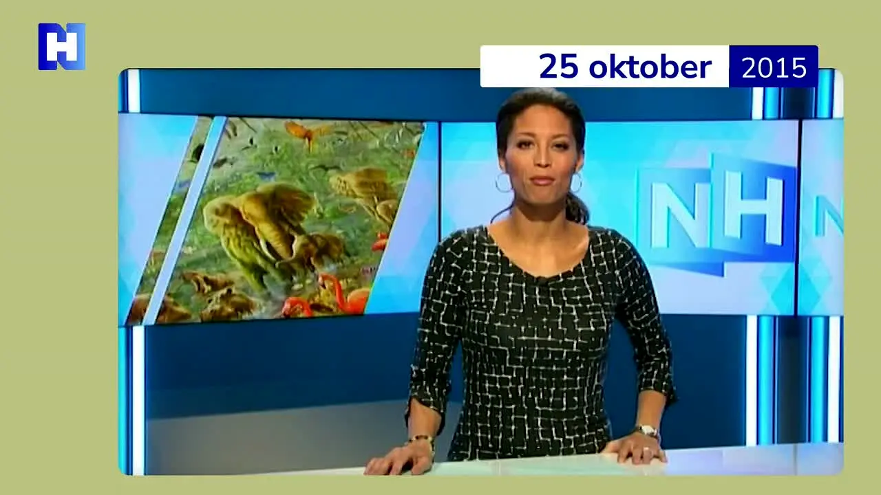 NH Nieuws en vivo