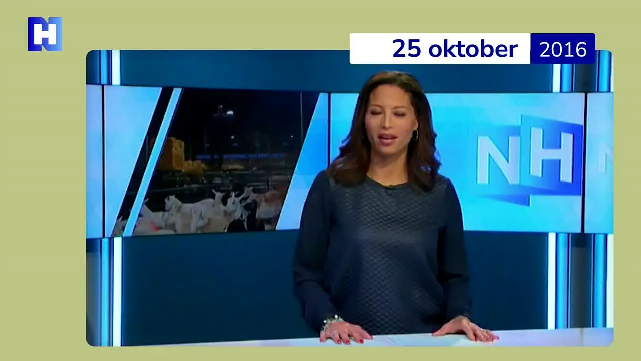 NH Nieuws ao vivo