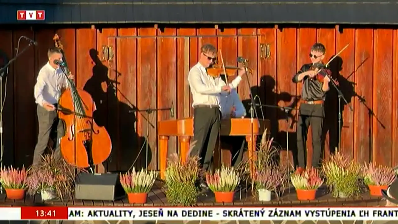 TVT na żywo