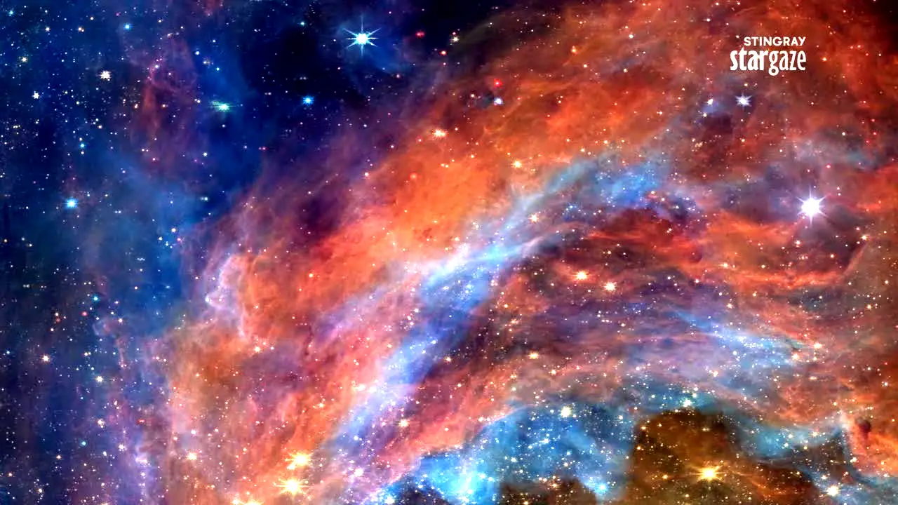 Stingray Stargaze live