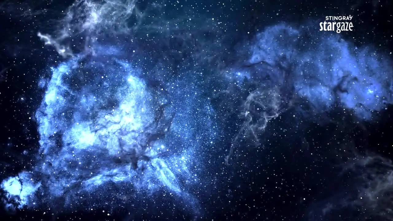 Stingray Stargaze en vivo