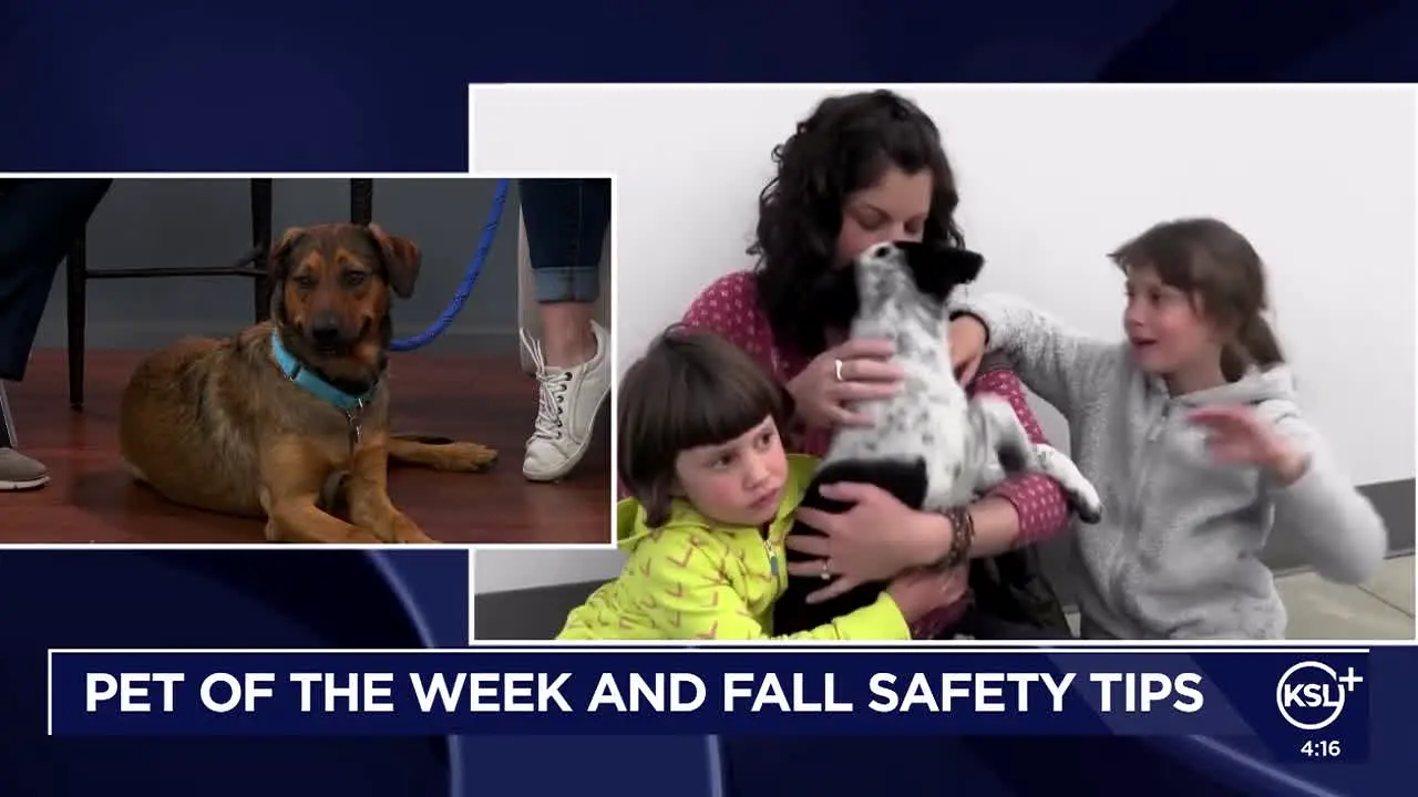 KSL NBC TV 5 Salt Lake City UT live