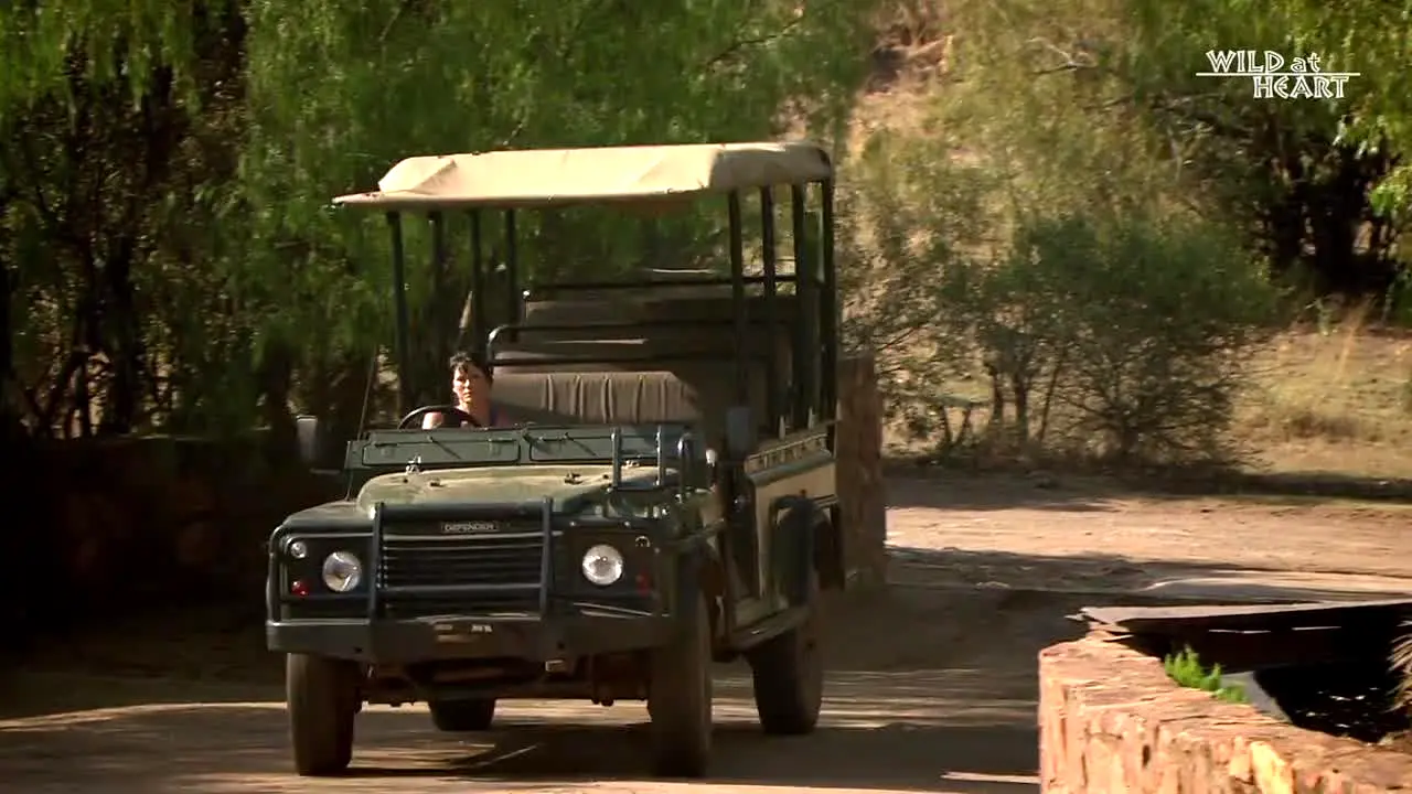 Wild At Heart in diretta