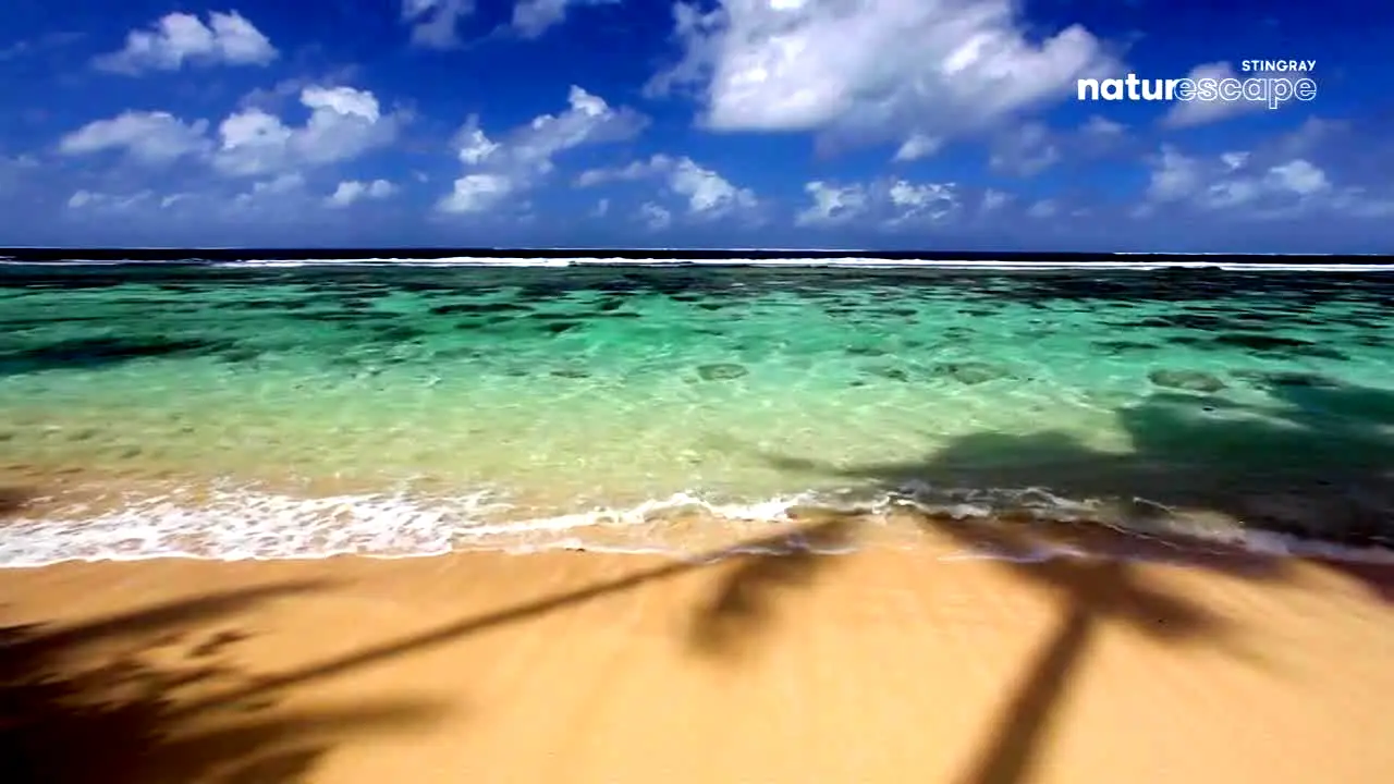 Stingray Naturescape — прямой эфир