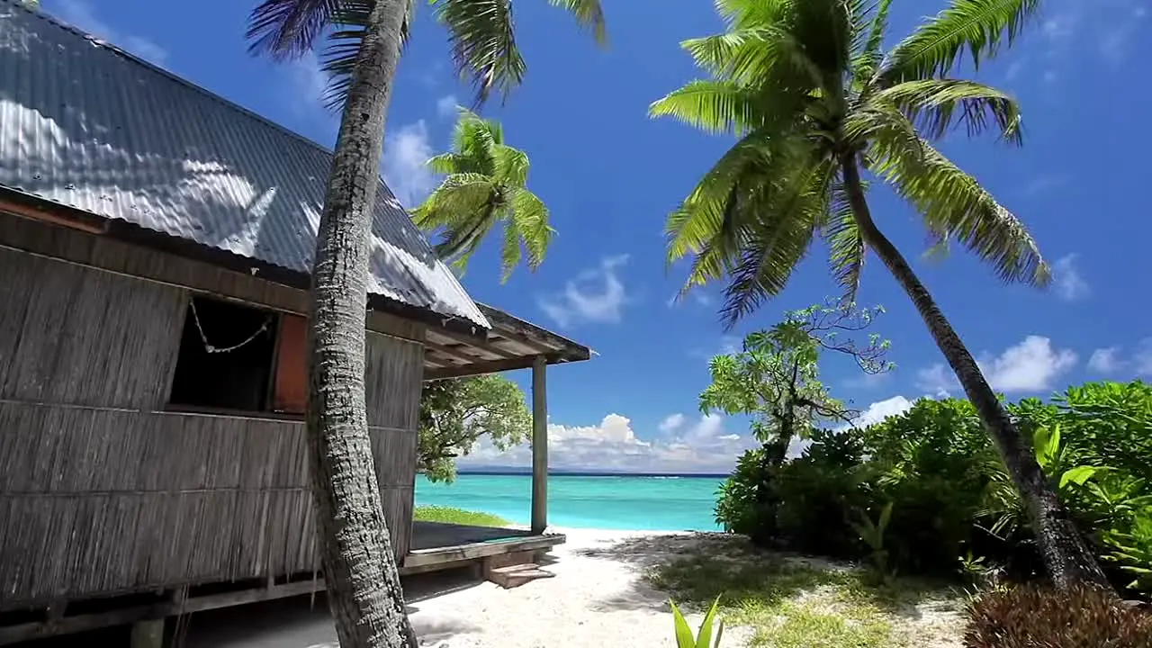 Island Vibes live