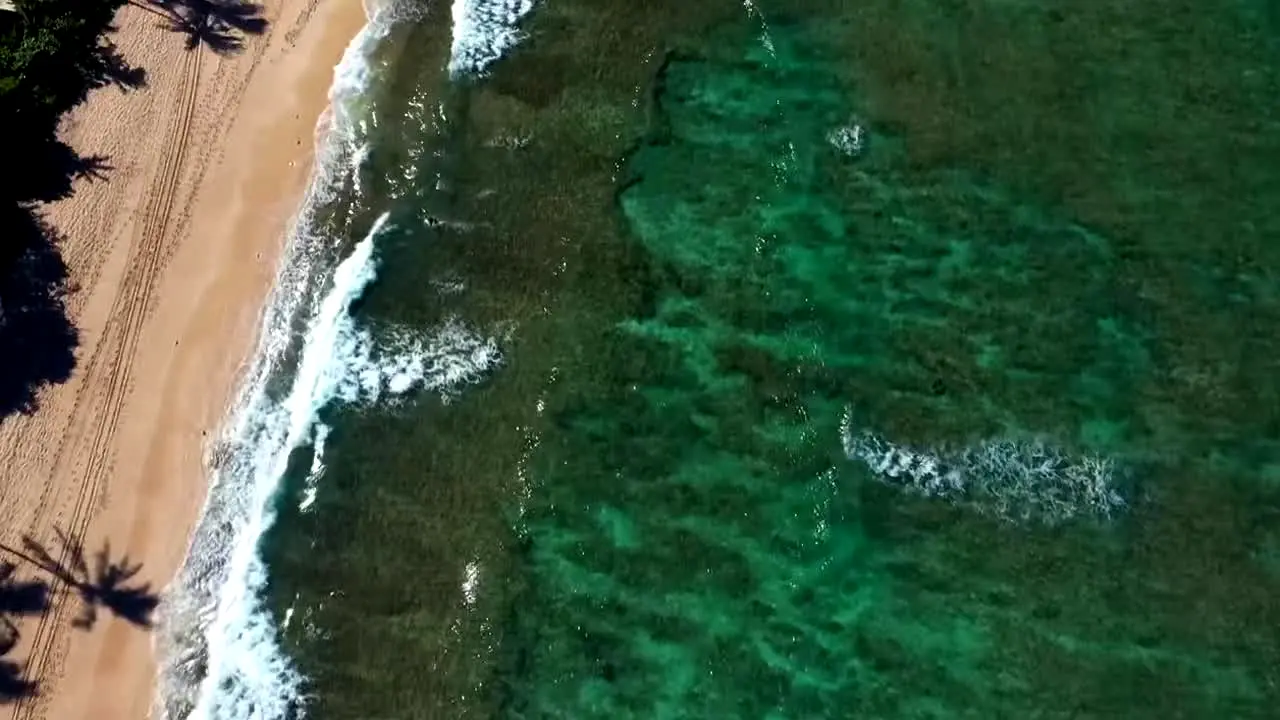Island Vibes en vivo