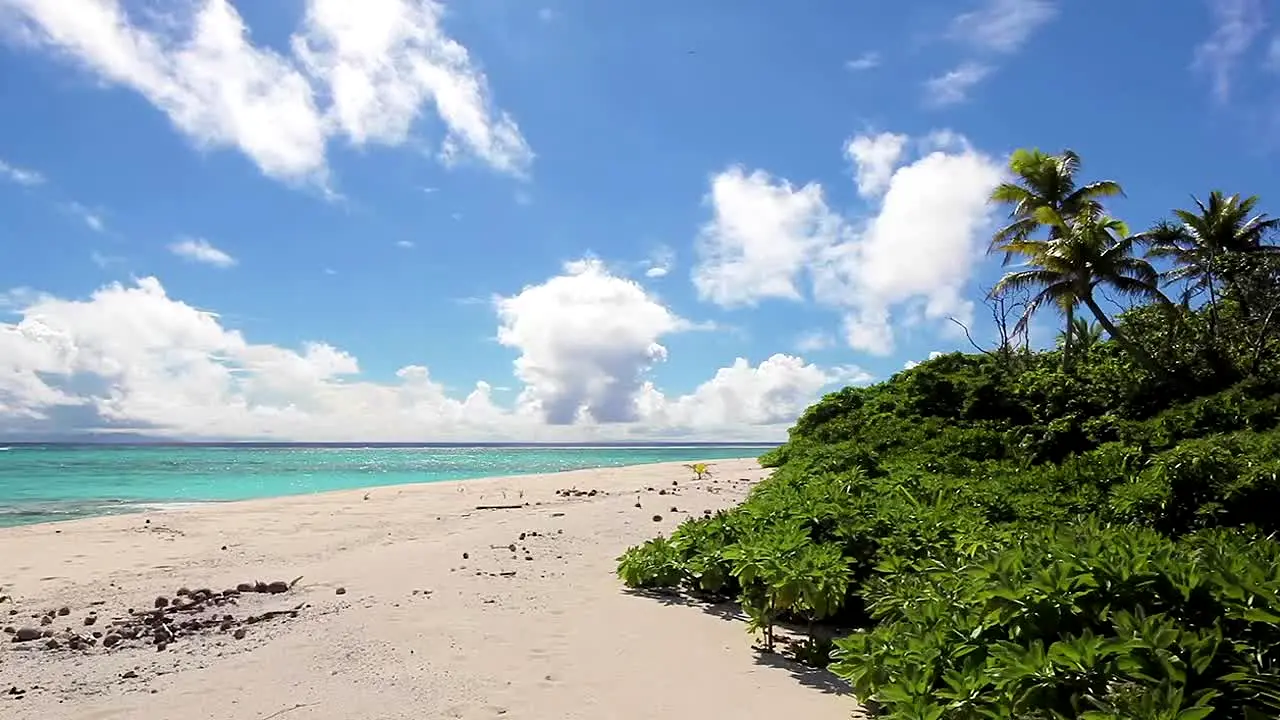 Island Vibes ao vivo