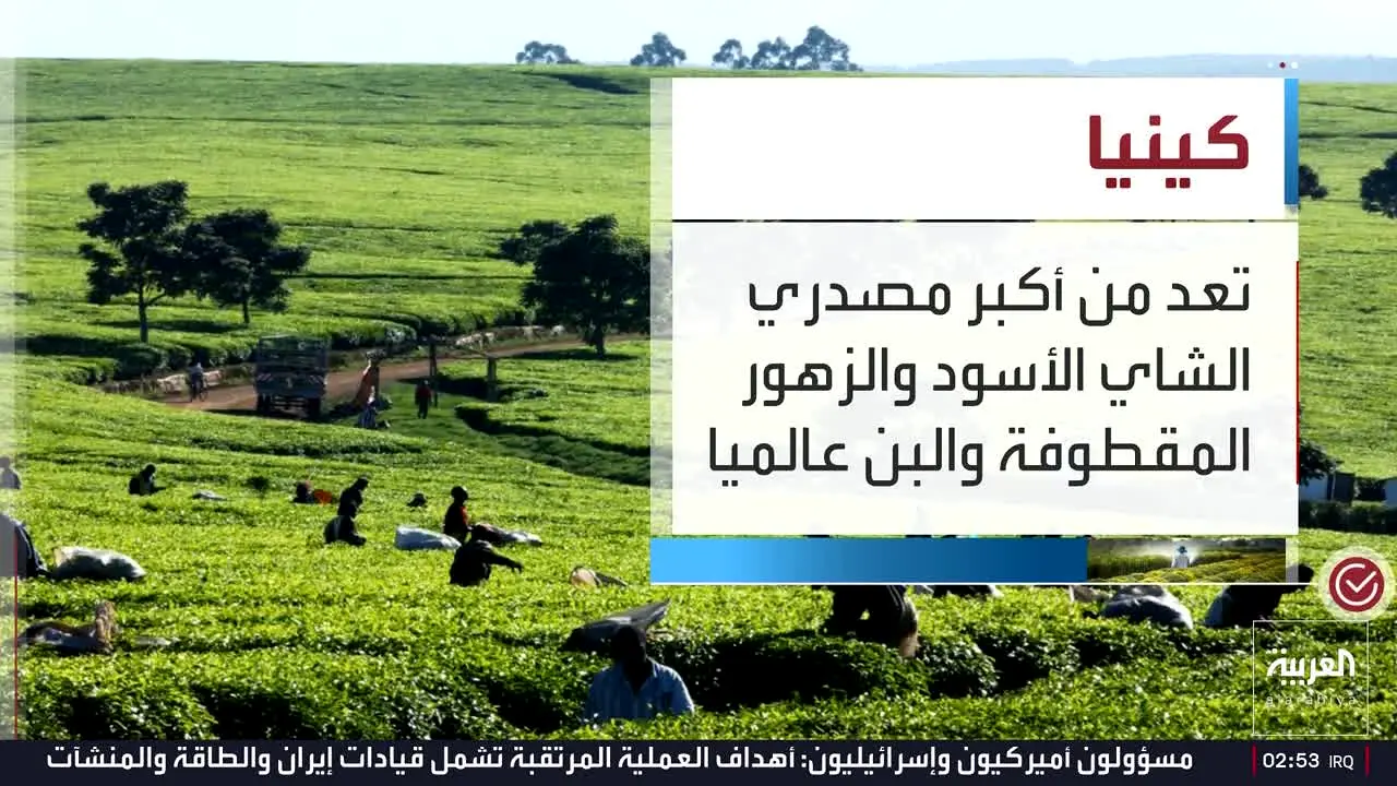Alarabiya na żywo