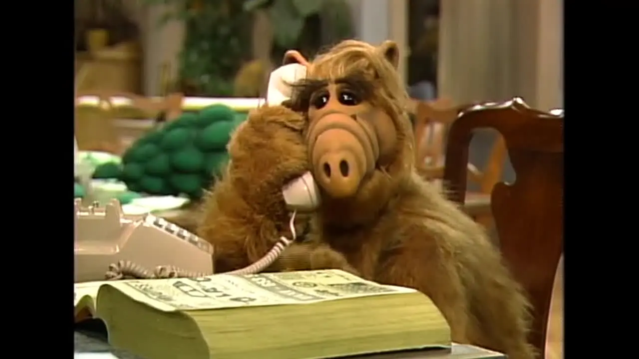ALF live