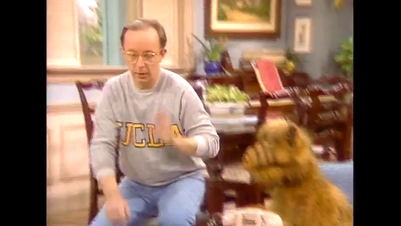 ALF live