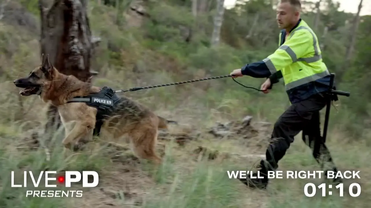 Live PD: Presents in diretta