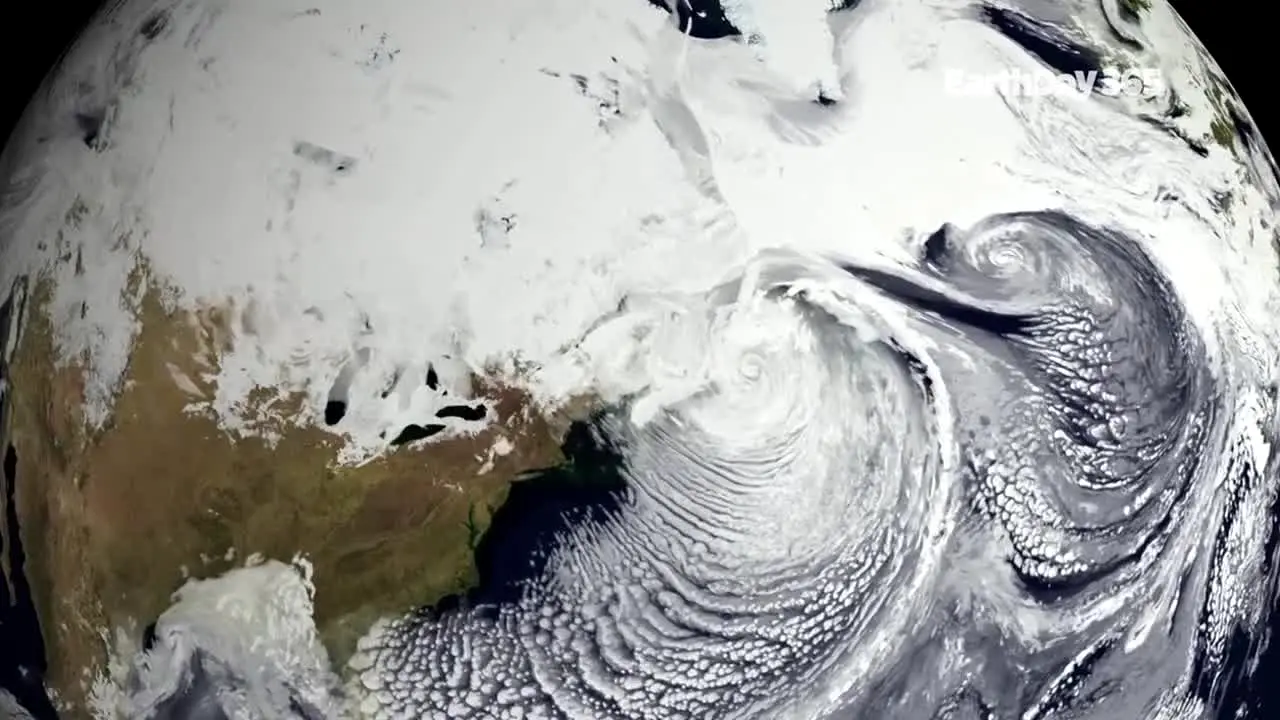 EarthDay 365 ao vivo