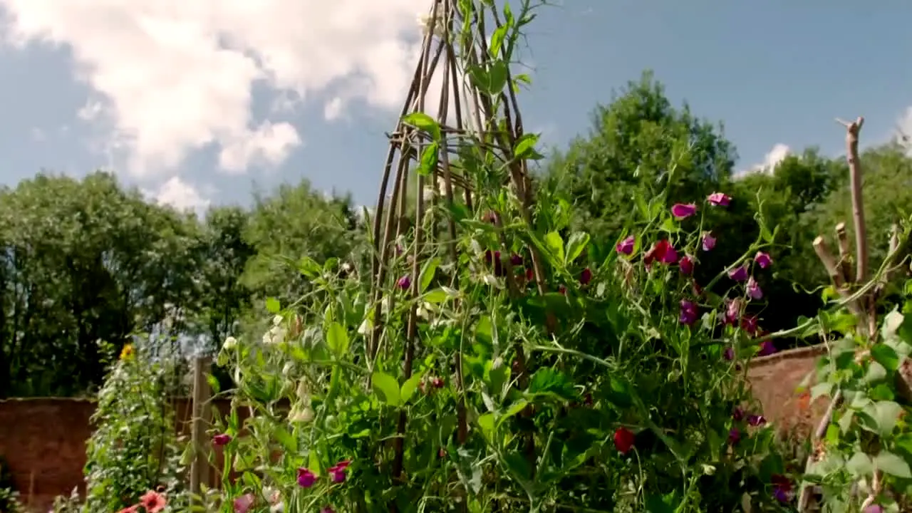 GARDEN with Monty Don live