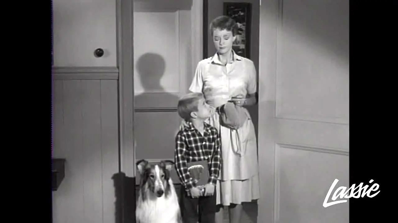 Lassie live