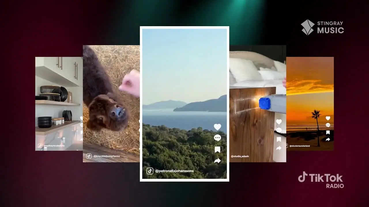 TikTok Radio live