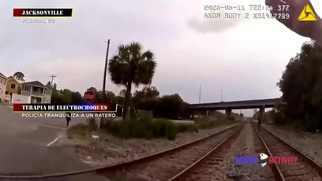 C4 en Alerta na żywo