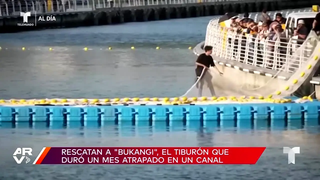 Telemundo Al Día live
