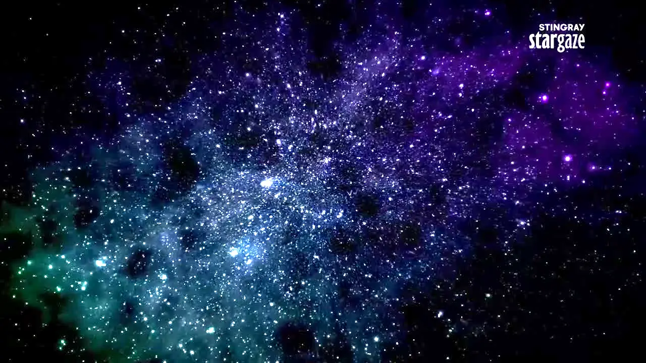 Stingray Stargaze live