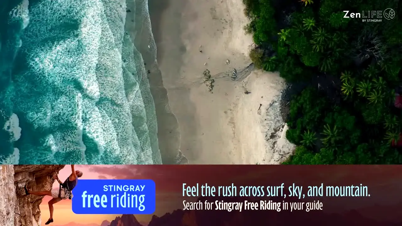 Stingray Zen Life live