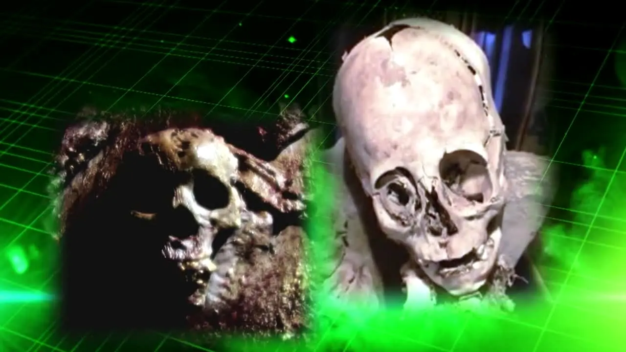Alien Files Unsealed live