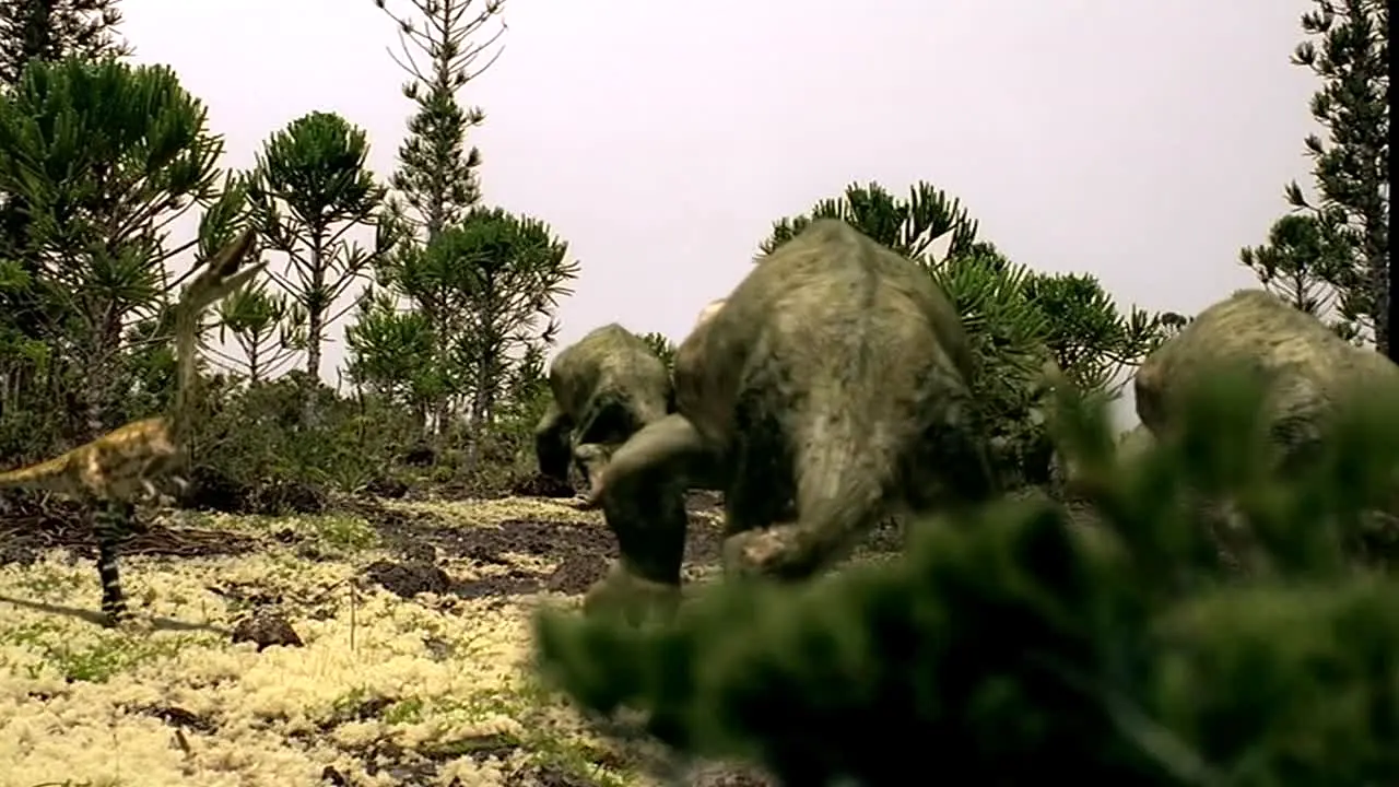 Dinos 24/7 — прямой эфир