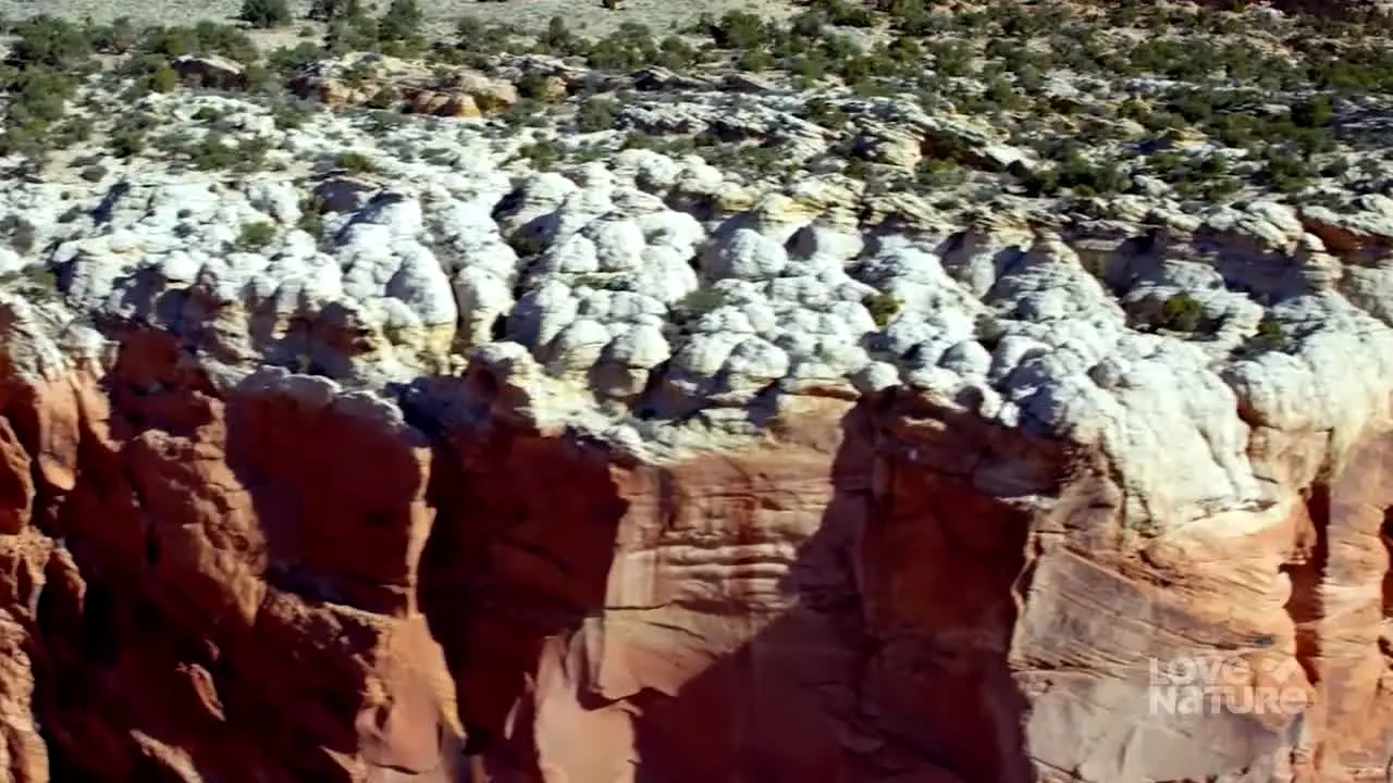 Love Nature en direct