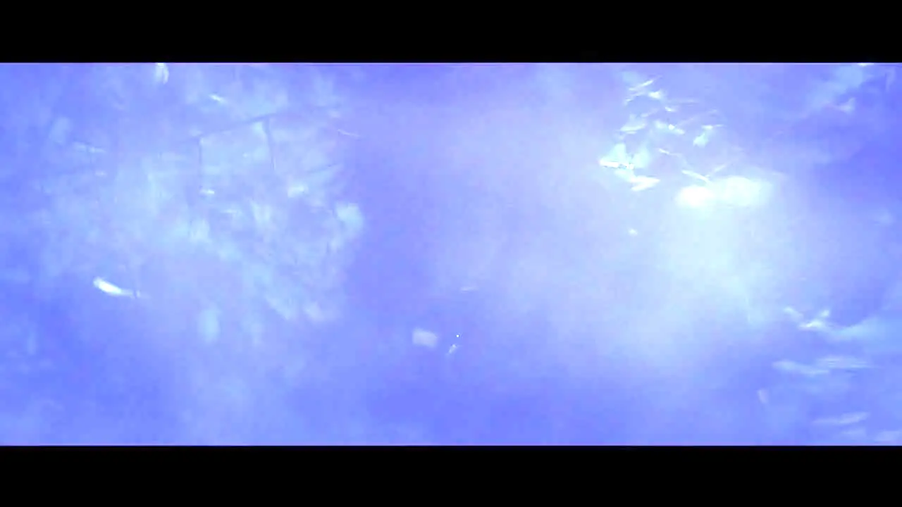 Pluto TV Creature Features ao vivo