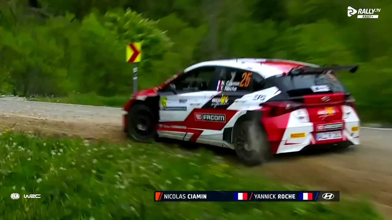 Rally TV ao vivo