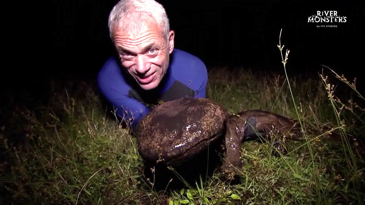 River Monsters live