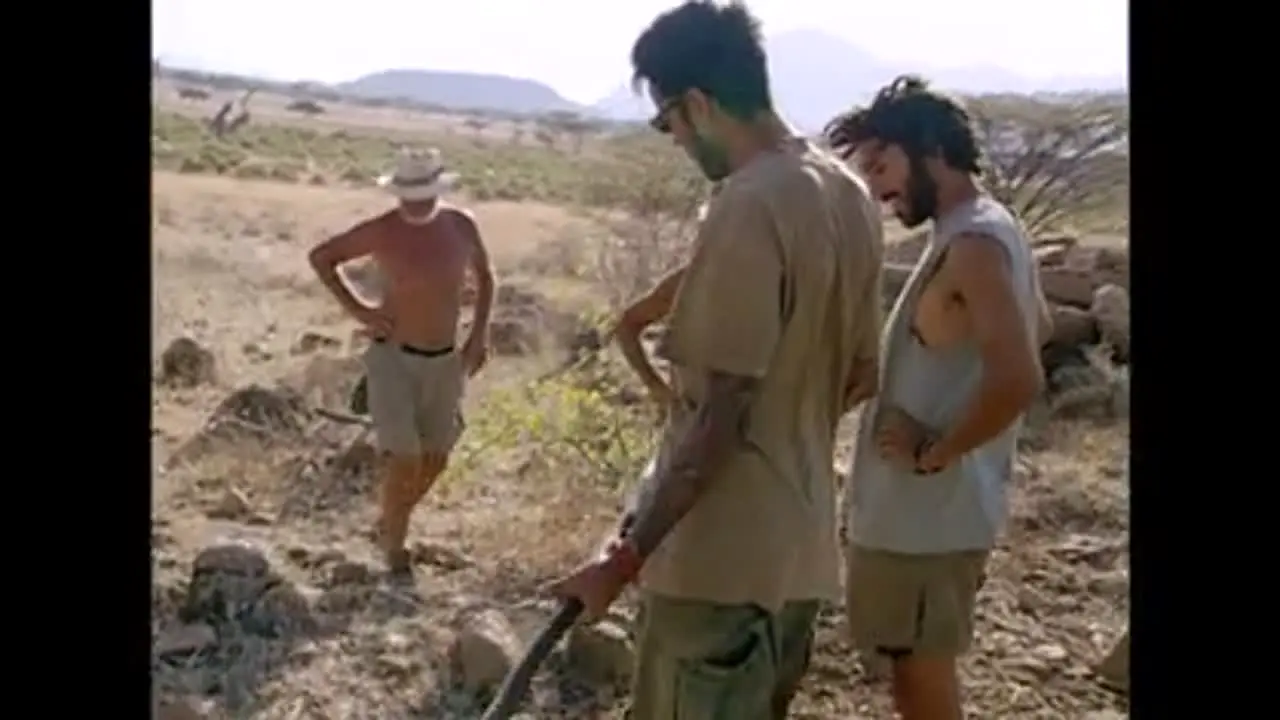 Survivor live