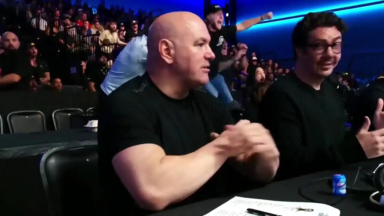 UFC live