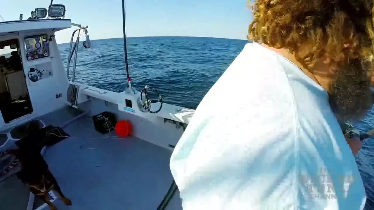 Wicked Tuna live