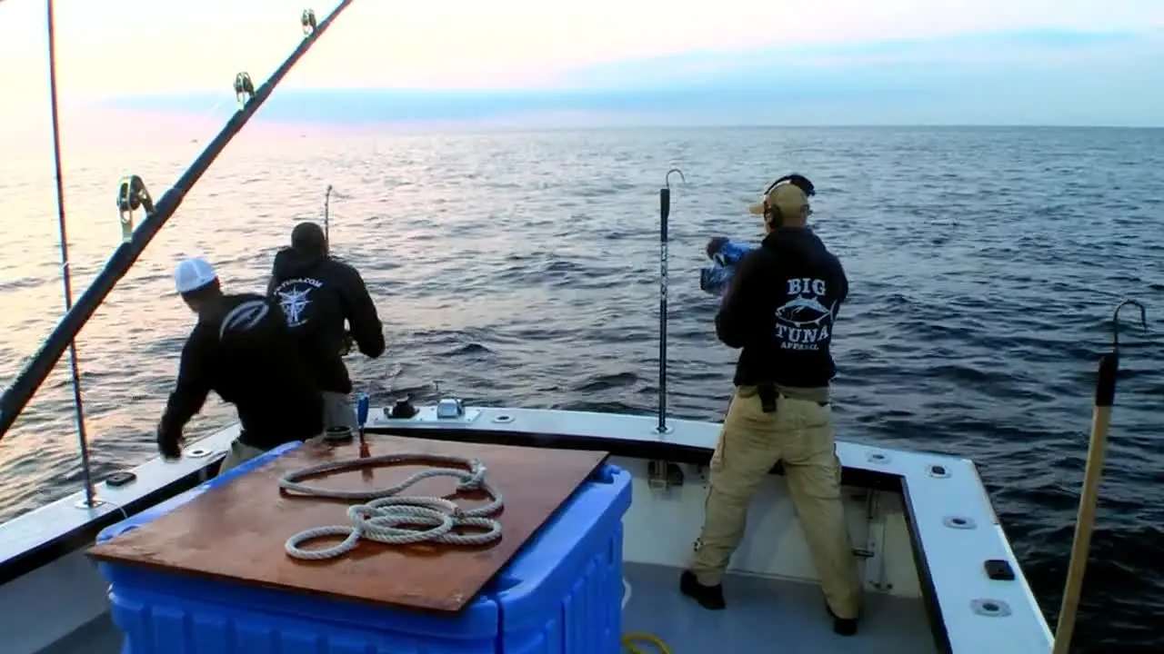 Wicked Tuna live