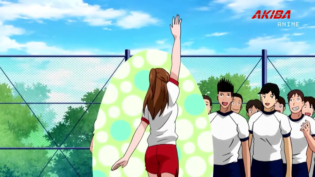 Akiba Anime live