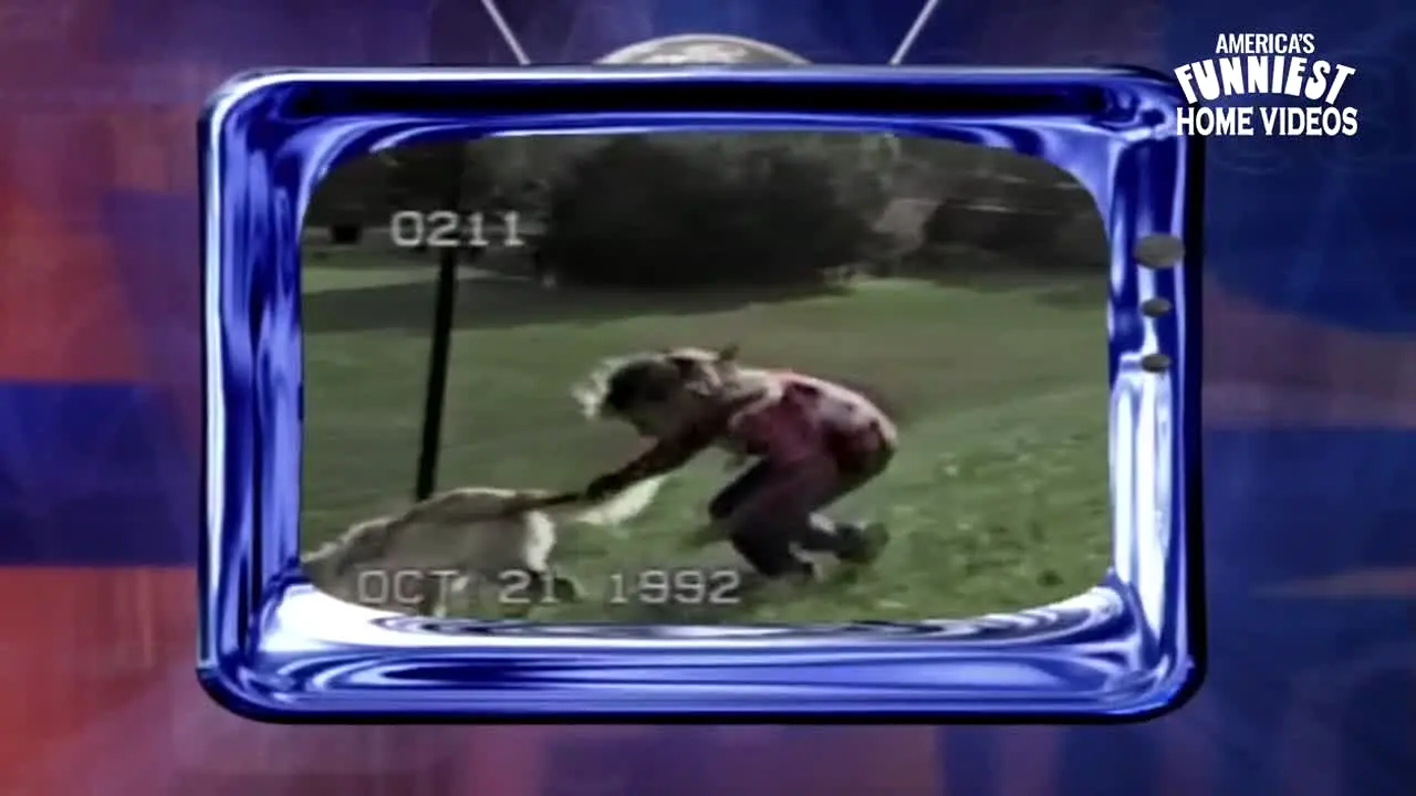 America's Funniest Home Videos live