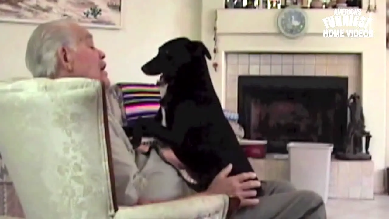 America's Funniest Home Videos live
