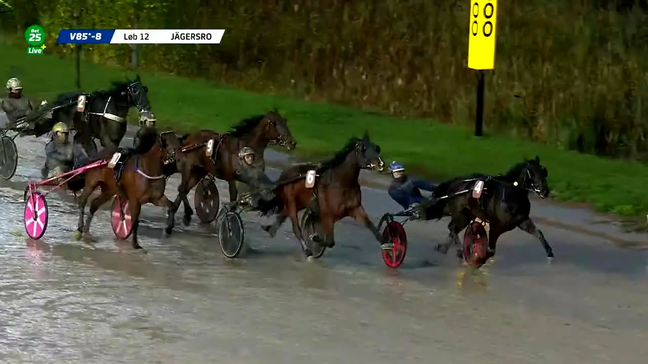BET25 Live+ en direct