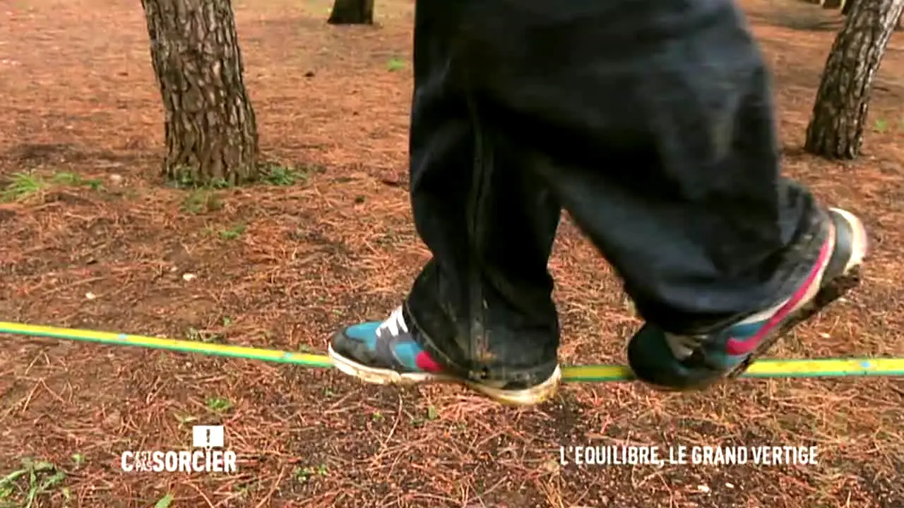 C'est pas sorcier live