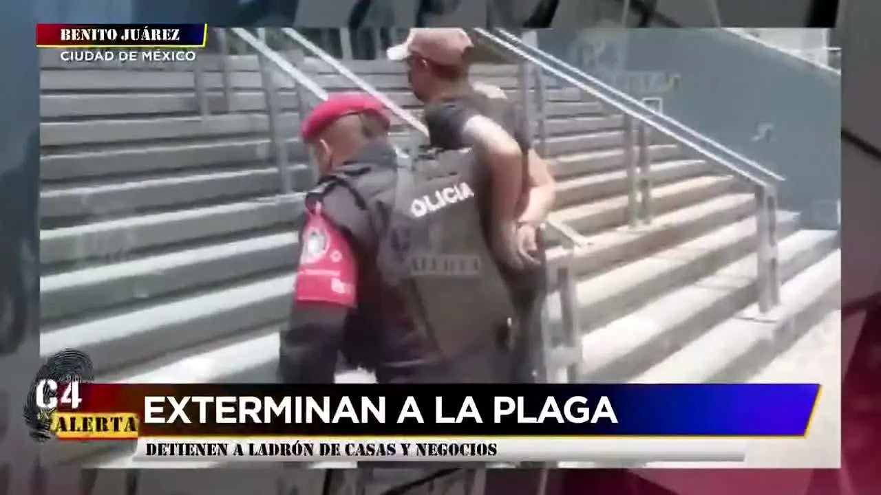 C4 en Alerta live
