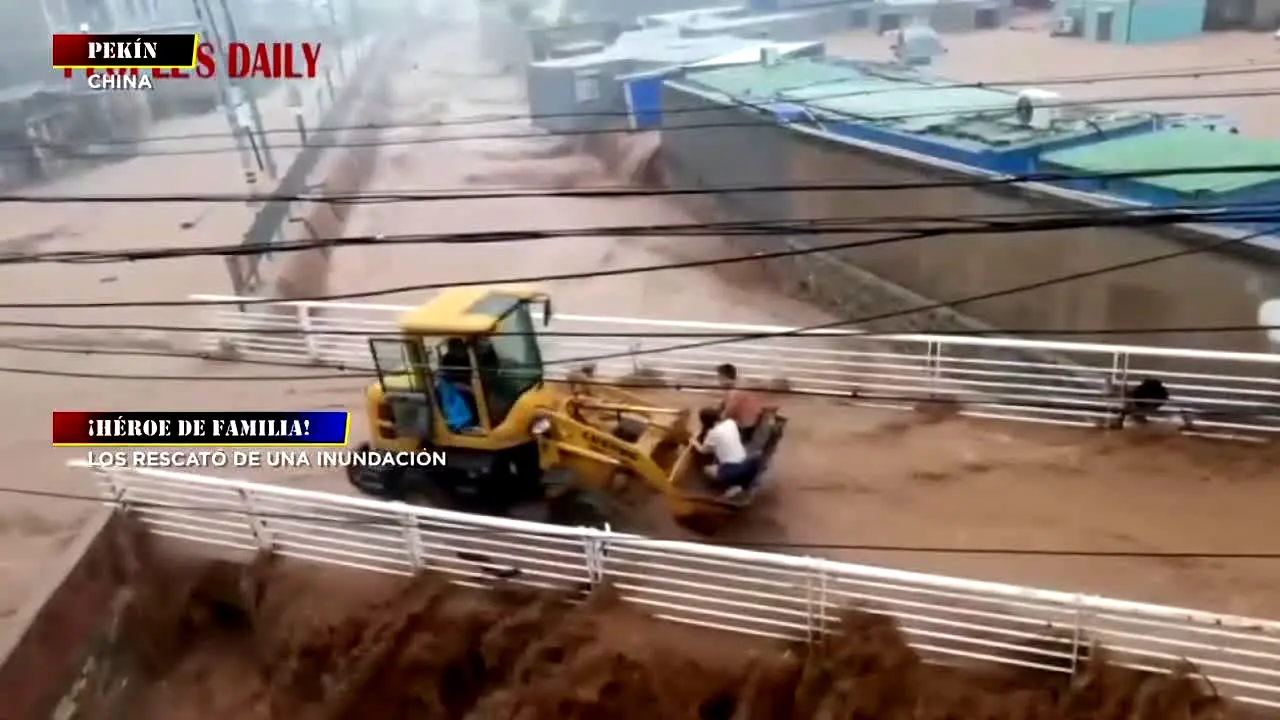 C4 en Alerta live