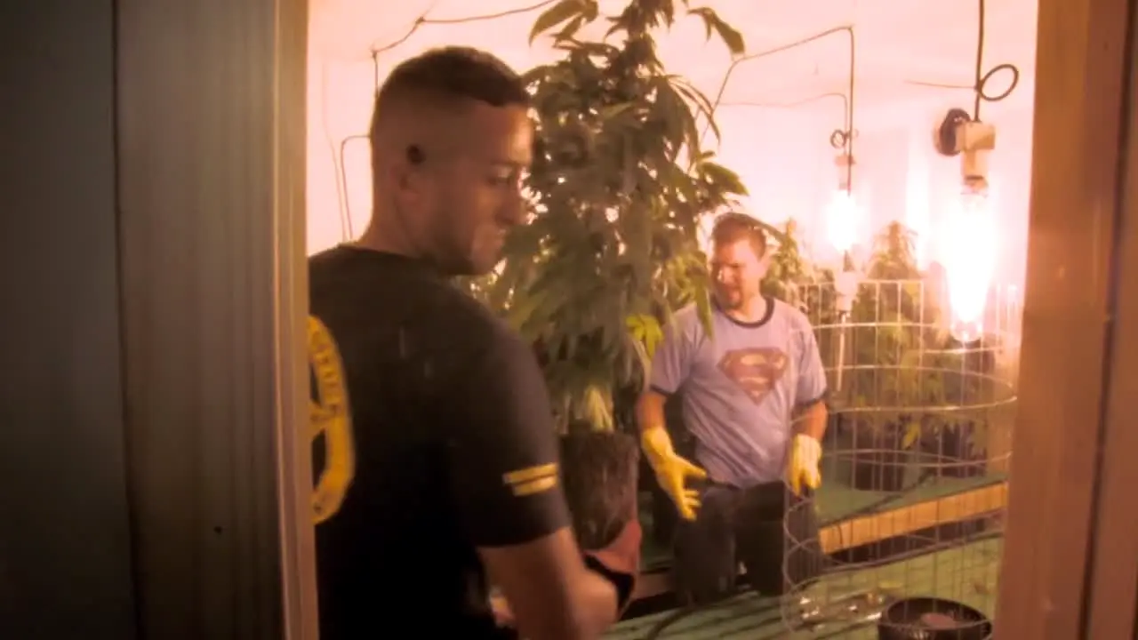 Cops live