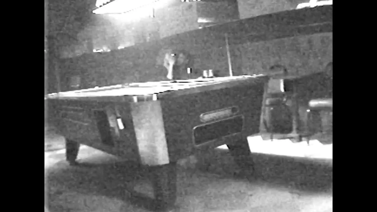 Cheaters live