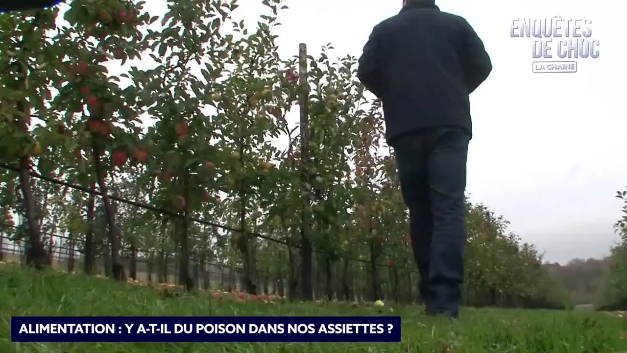 Enquêtes de Choc live