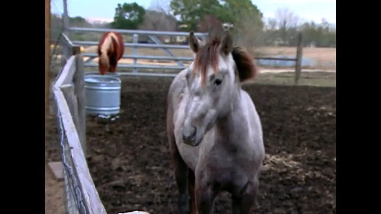 Extreme Makeover Home Edition live